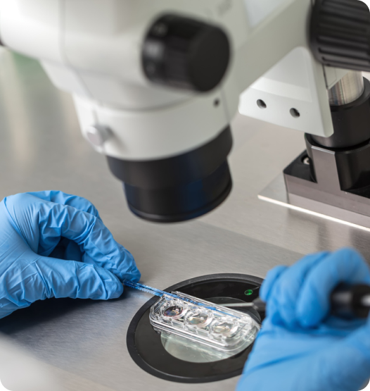 Clínica Eugin – Reproducció assistida a Barcelona